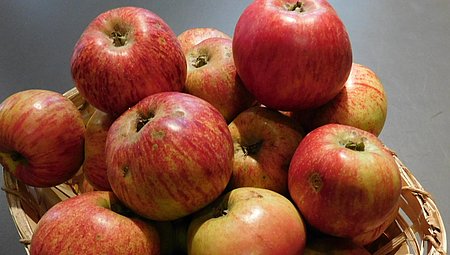 Bio-Feinkost Heubel